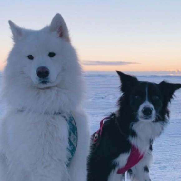 Meet your Posher, Andria - Picture 1 of 1